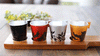 Color Chenging Demitasse Cup & Saucer Set "Botanical Compton " Black (Warm)　individual item